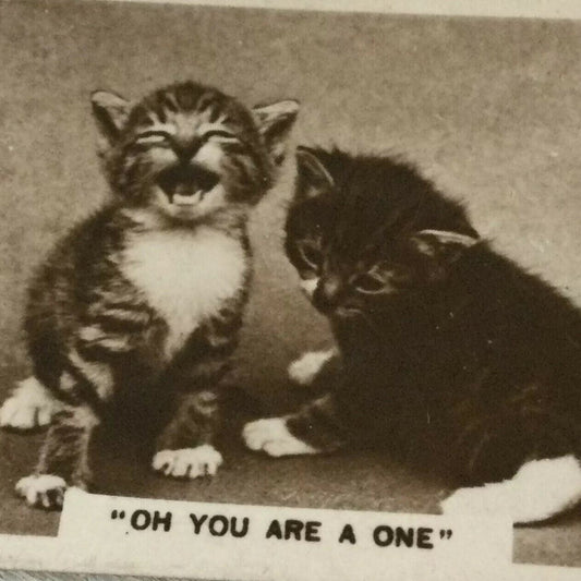 De Reszke Cigarette Card Series 3 no.10 Oh you are a one laughing kittens photo