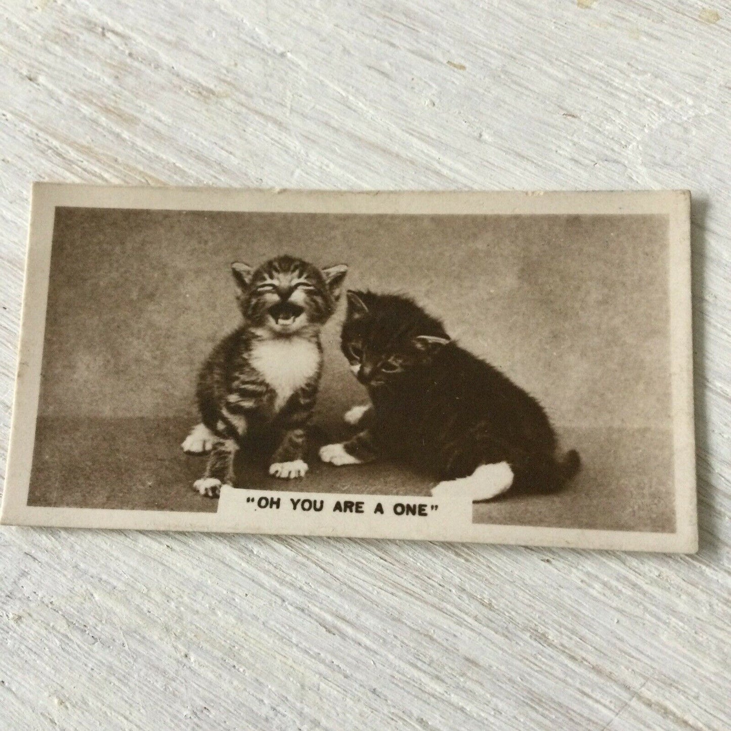 De Reszke Cigarette Card Series 3 no.10 Oh you are a one laughing kittens photo