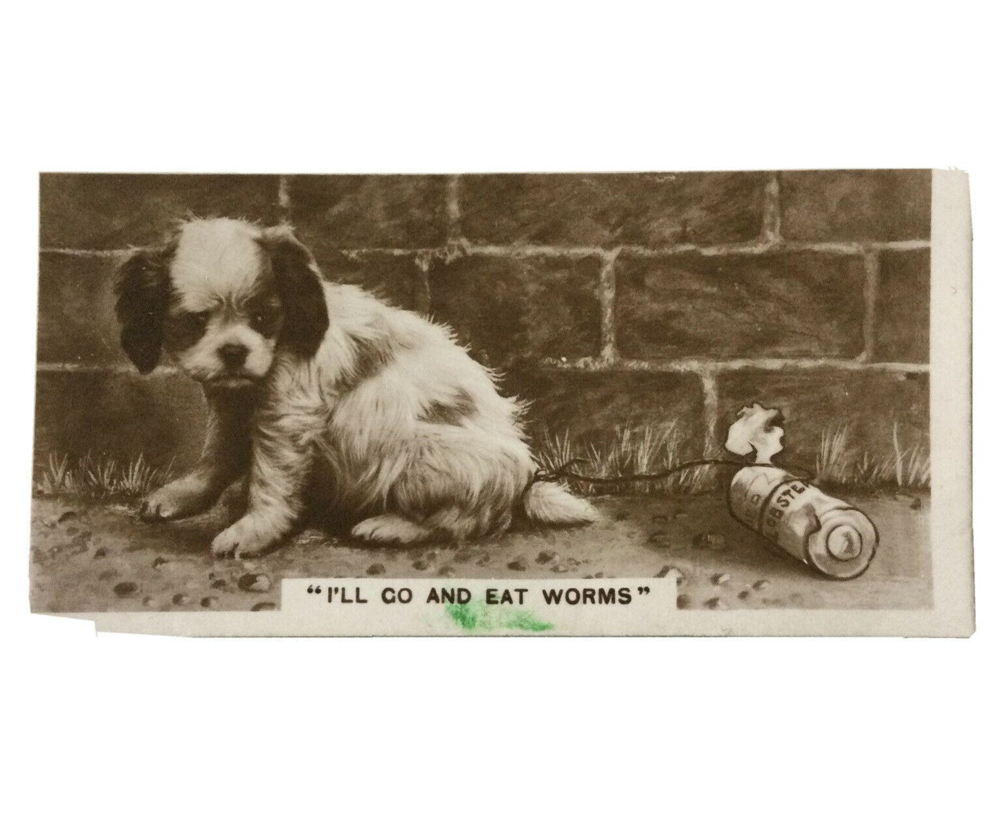 De Reszke Cigarette Card Series 3 no.12 I’ll go & eat worms spaniel  puppy photo