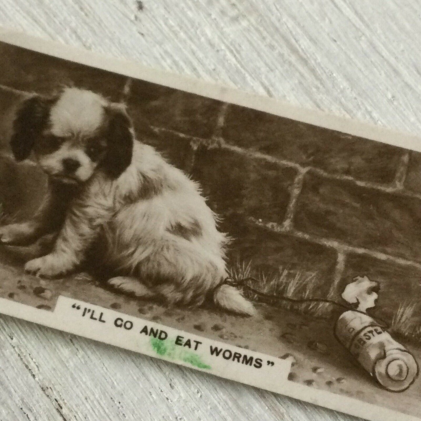 De Reszke Cigarette Card Series 3 no.12 I’ll go & eat worms spaniel  puppy photo