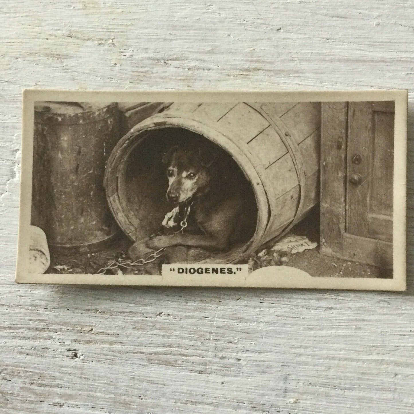 De Reszke Cigarette Card Series 1 no.13 Diogenes. Dog in barrel photo vintage