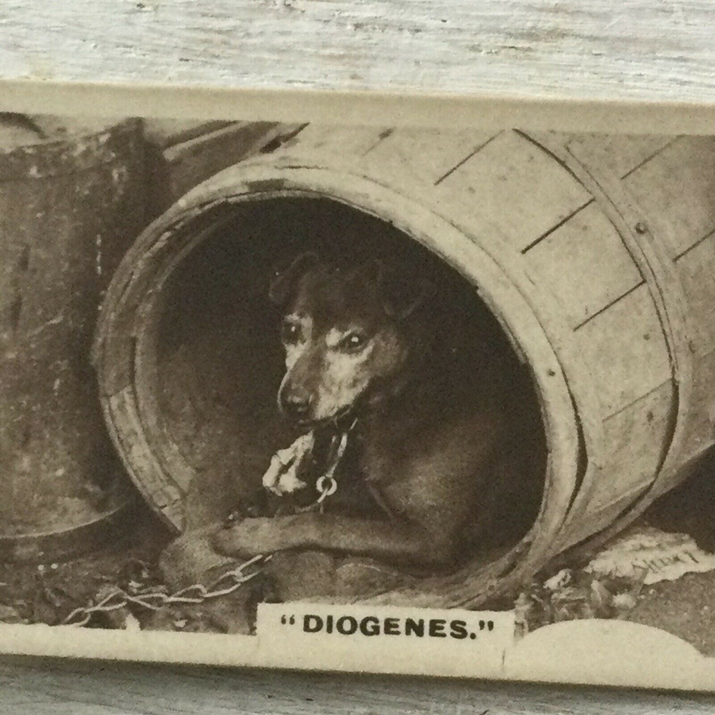 De Reszke Cigarette Card Series 1 no.13 Diogenes. Dog in barrel photo vintage