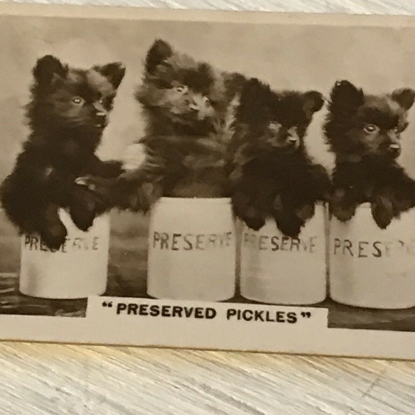 De Reszke Cigarette Card Series 3 no.16 Preserved Pickles PUPPIES in jars cute