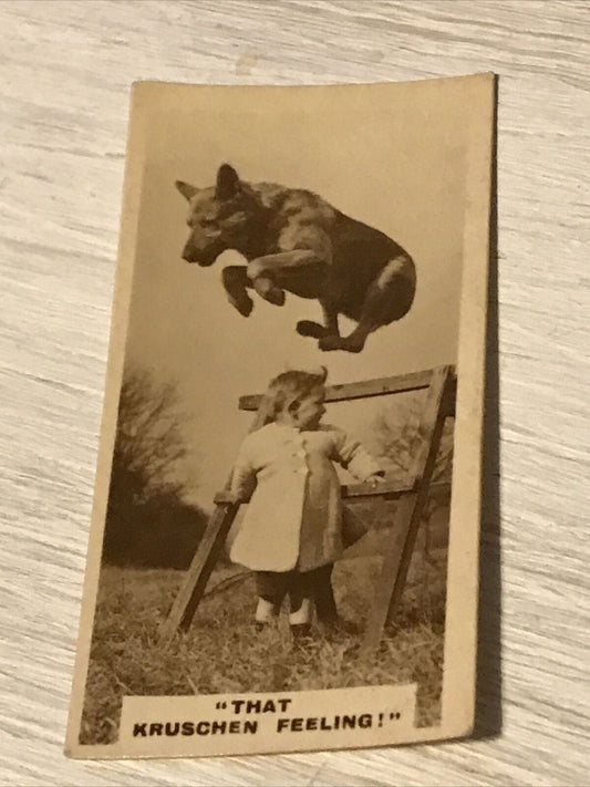 De Reszke Cigarette Card Series 2 no.20 That Kruschein feeling. Dog jumping high