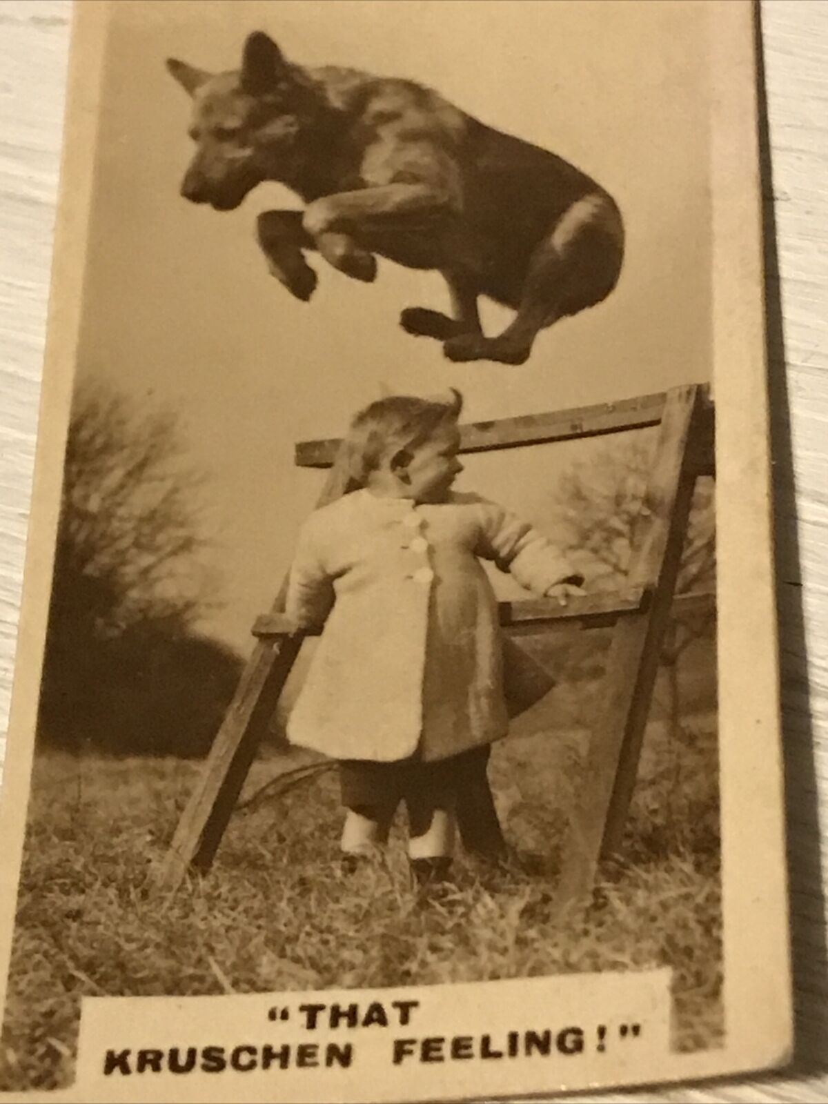 De Reszke Cigarette Card Series 2 no.20 That Kruschein feeling. Dog jumping high