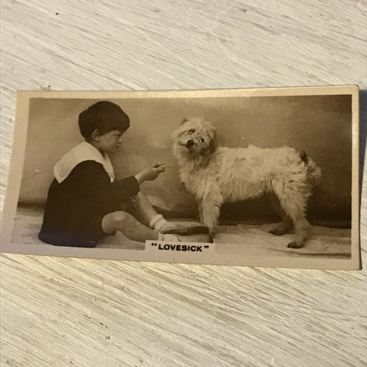 De Reszke Cigarette Card Series 3 no.21 Lovesick cute dog & child vintage photo