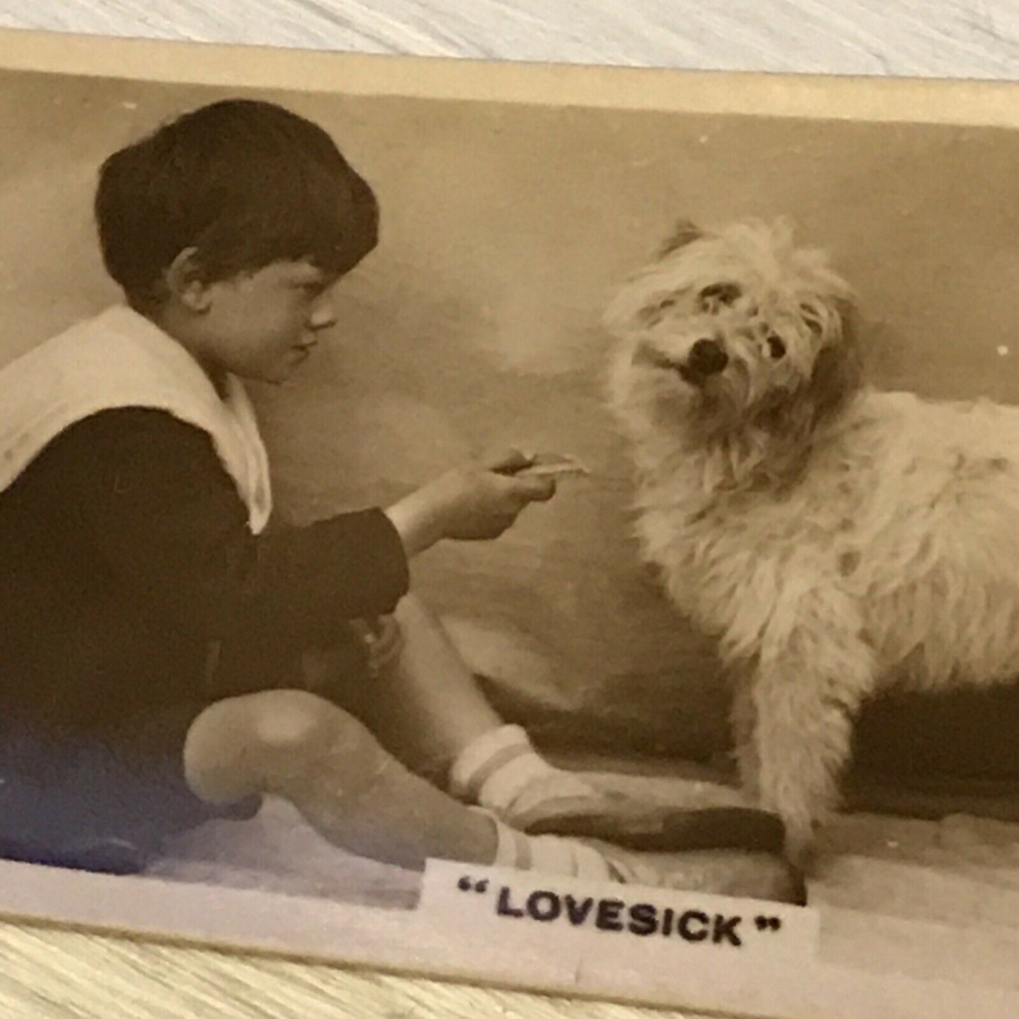 De Reszke Cigarette Card Series 3 no.21 Lovesick cute dog & child vintage photo