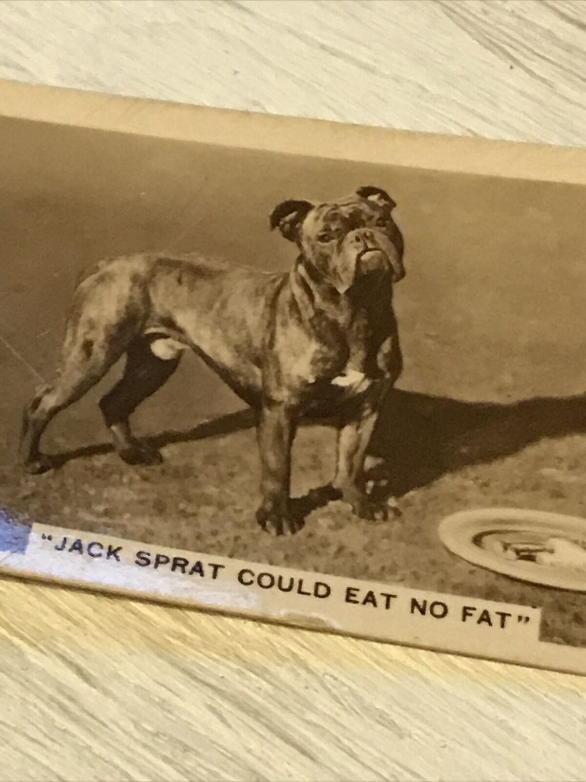 De Reszke Cigarette Card Series 5 no.21 Jack Sprat Could Eat No Fat Boxer Dog 1930s photo