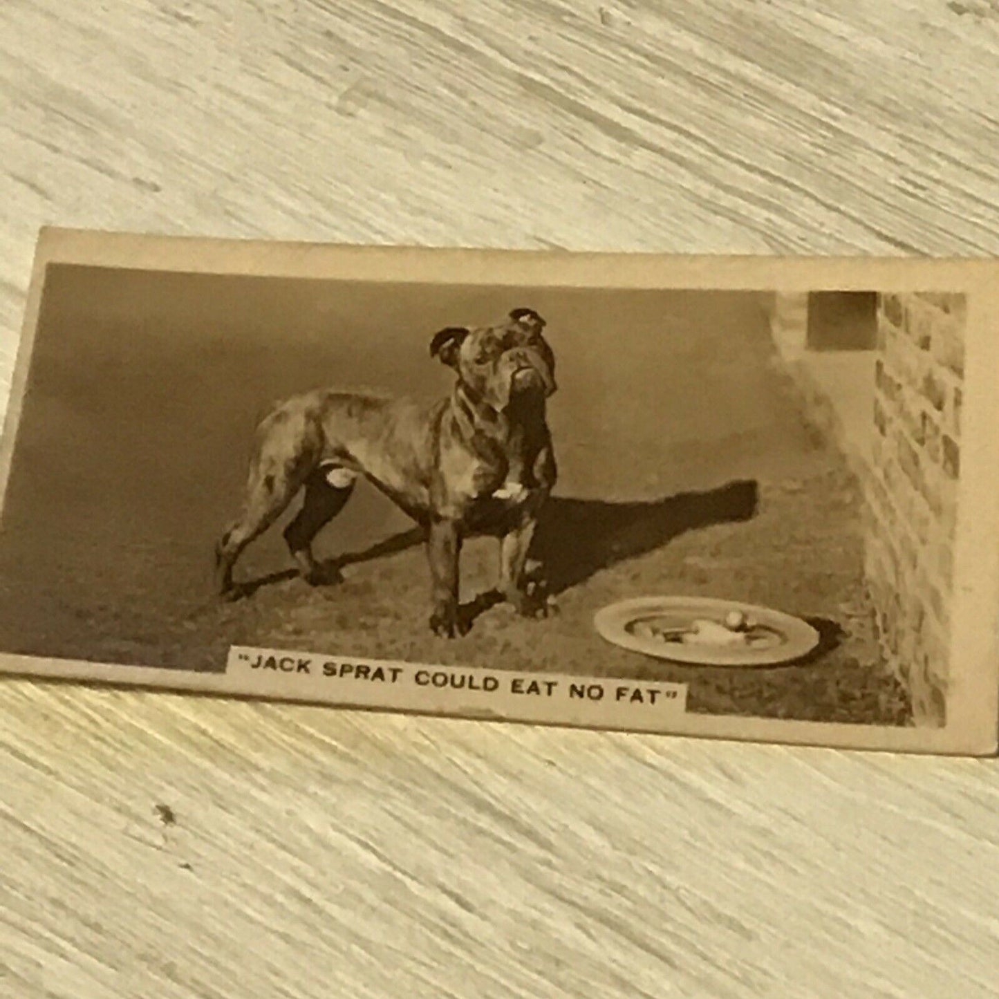 De Reszke Cigarette Card Series 5 no.21 Jack Sprat Could Eat No Fat Boxer Dog 1930s photo