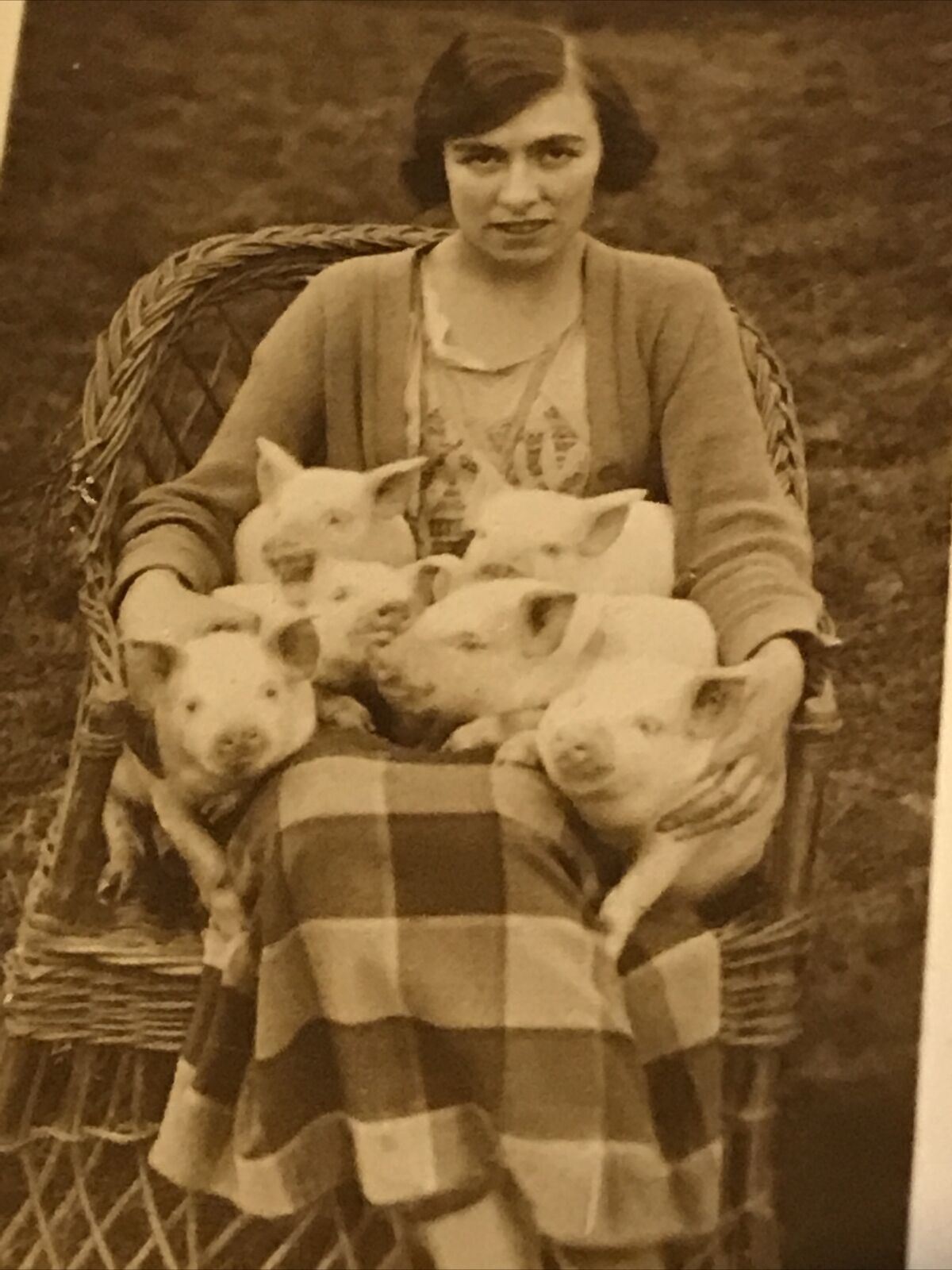 De Reszke Cigarette Card Series 2 no.21 The Pig Six. Women & piglets photo