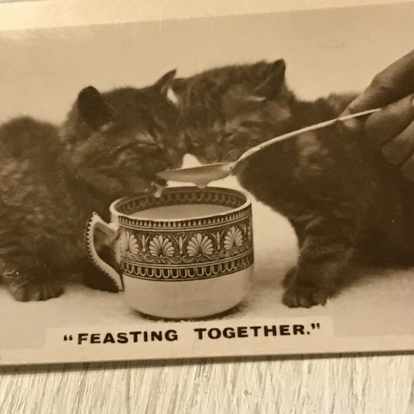 De Reszke Cigarette Card Series 1 no.23 Feasting Together. Kittens drinking