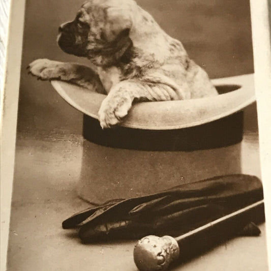De Reszke Cigarette Card - Series 1 No.2-  'In Charge' - Puppy With Top Hat, Gloves And Cane