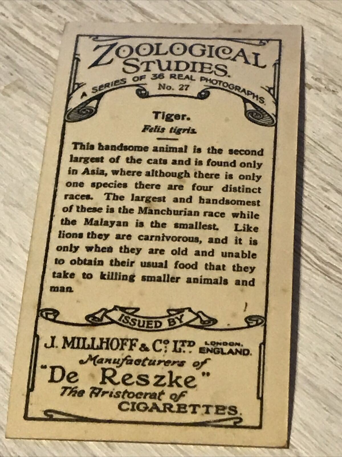 De  Reszke Cigarette Card Zoological Studies No 27 Tiger Photograph 1920s Vintag