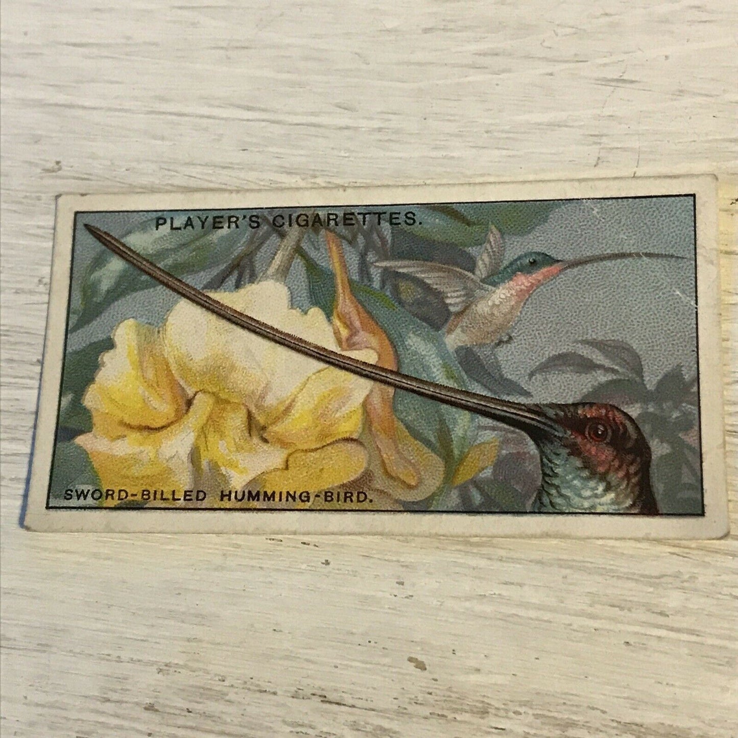 Players Cigarette Card Curious Beaks 26 Sword Billed Humming Bird Vintage 1929