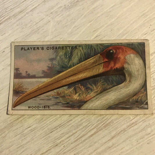 Players Cigarette Card Curious Beaks 27 Wood Ibis Bird Picture 1929 Vintage