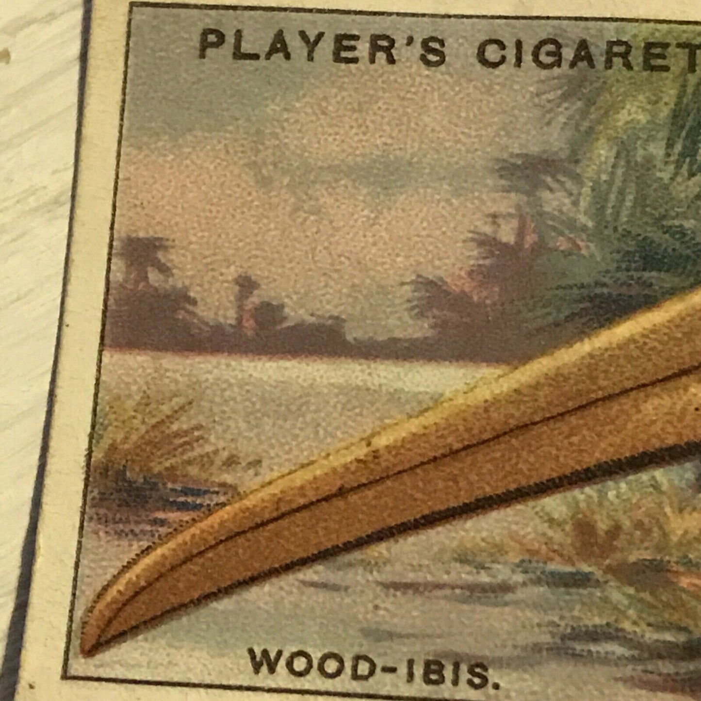 Players Cigarette Card Curious Beaks 27 Wood Ibis Bird Picture 1929 Vintage