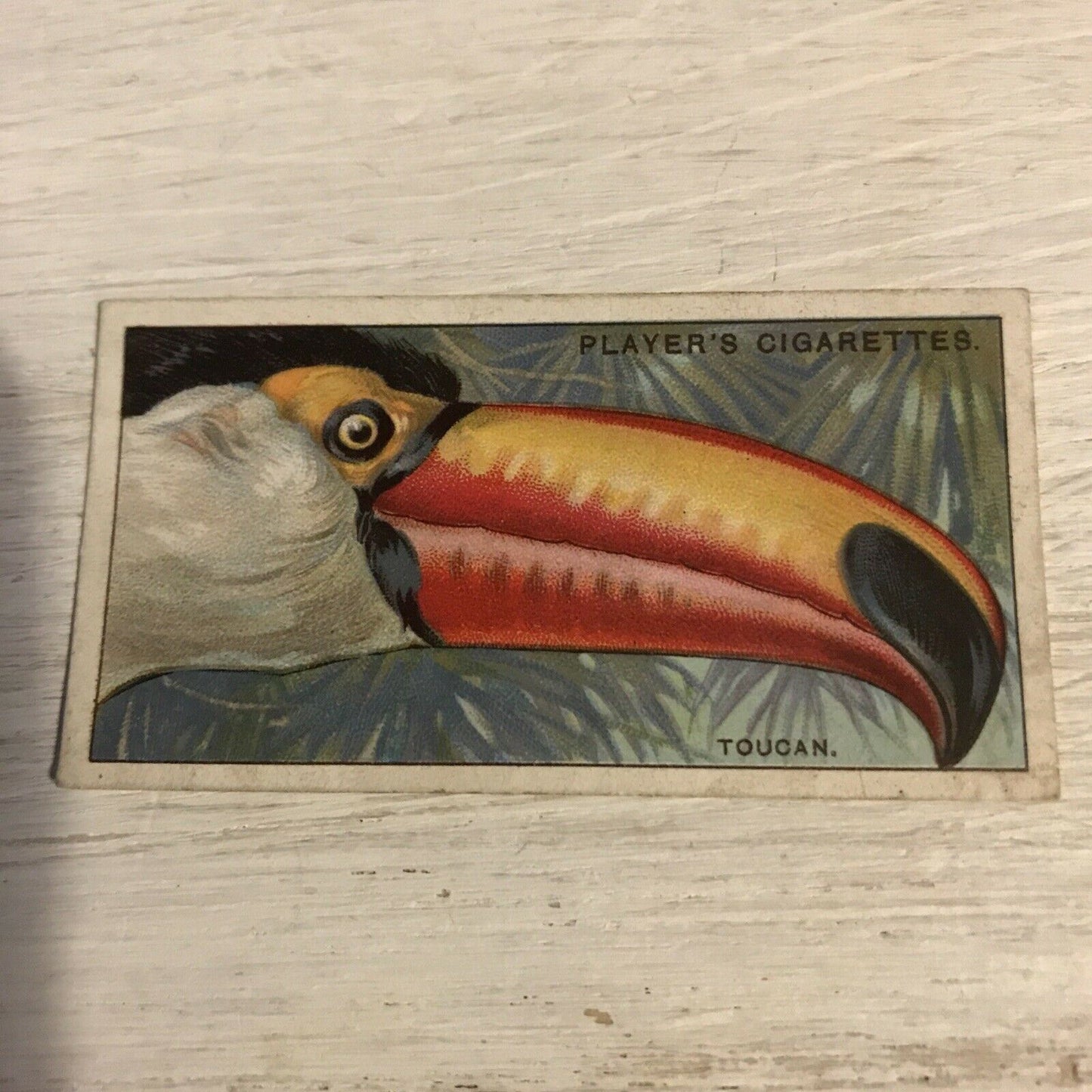 Antique Players Cigarette Card Curious Beaks 49 Toucan Bird Picture 1929