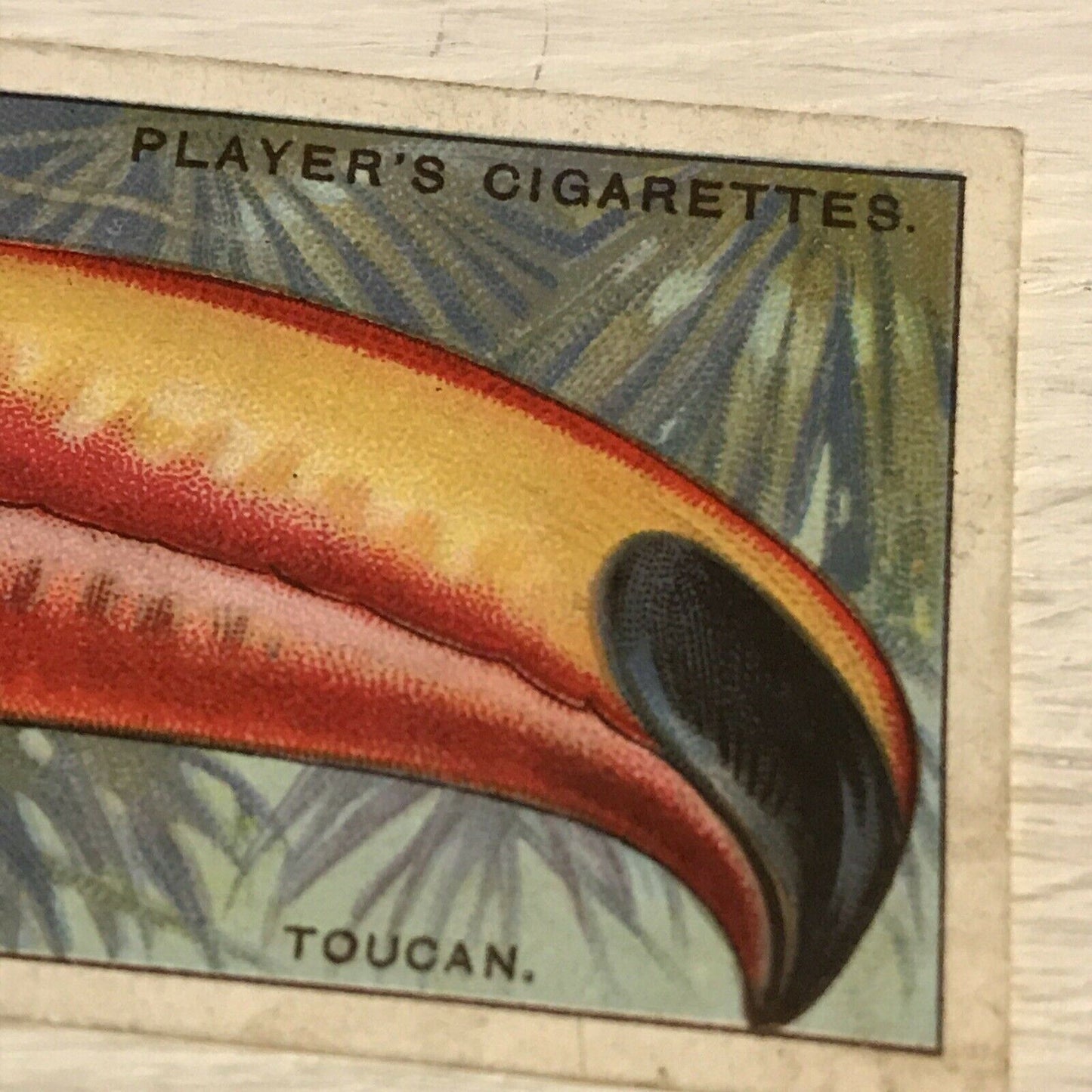 Antique Players Cigarette Card Curious Beaks 49 Toucan Bird Picture 1929