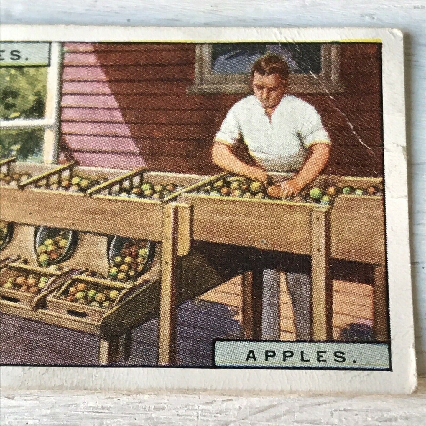 Players Cigarette Cards Products Of The World 1 Apples Grading Machine Tasmania