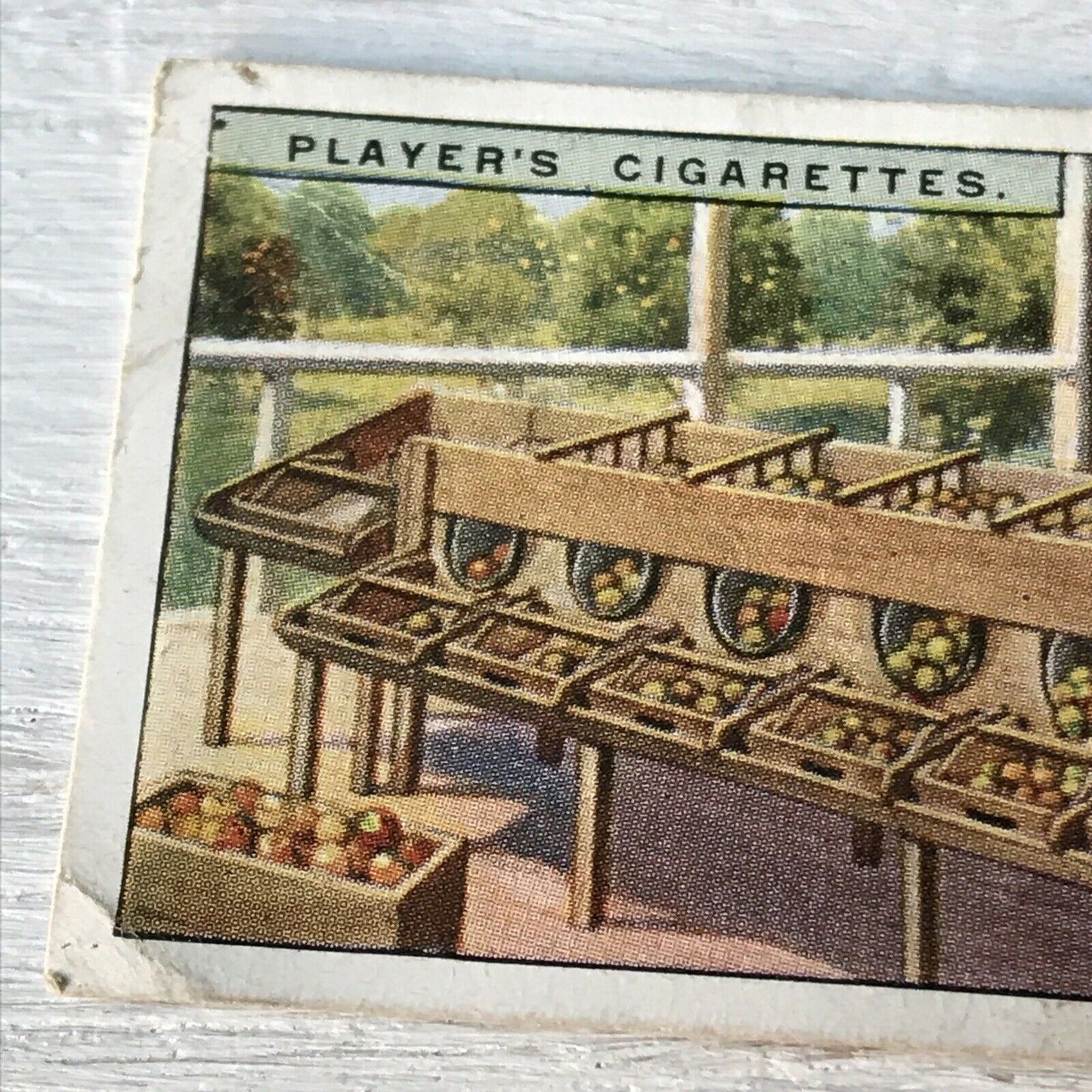 Players Cigarette Cards Products Of The World 1 Apples Grading Machine Tasmania