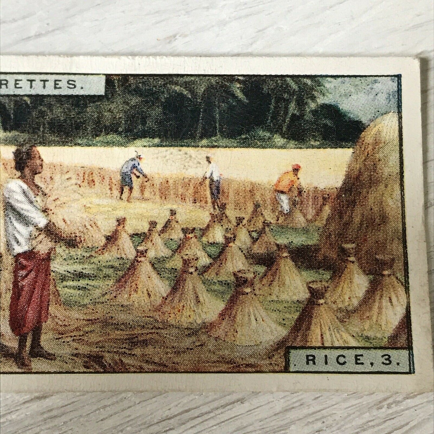 HARVESTING RICE, JAVA Players Cigarettes Card Products Of The World 3 30 Vintage