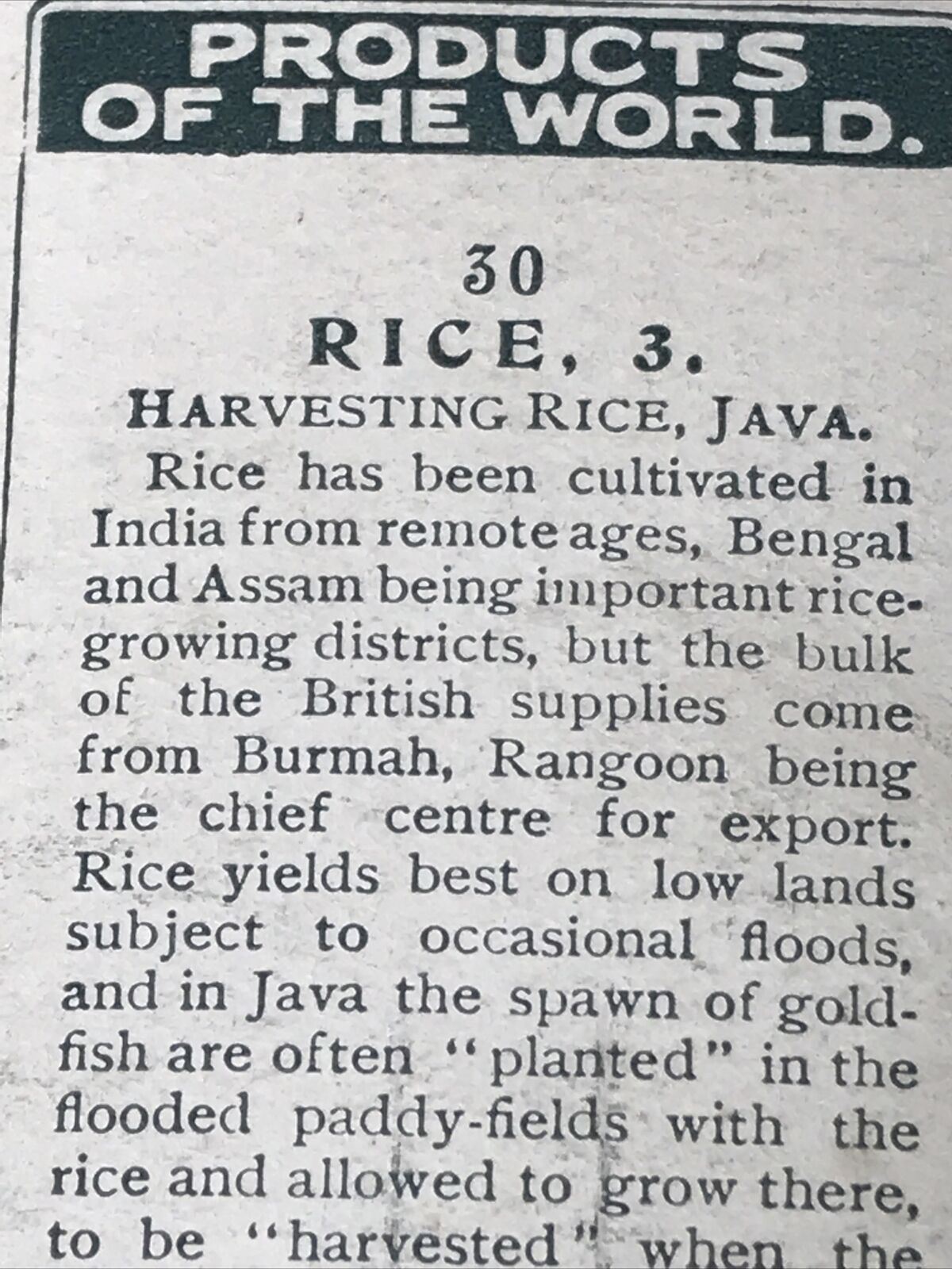 HARVESTING RICE, JAVA Players Cigarettes Card Products Of The World 3 30 Vintage