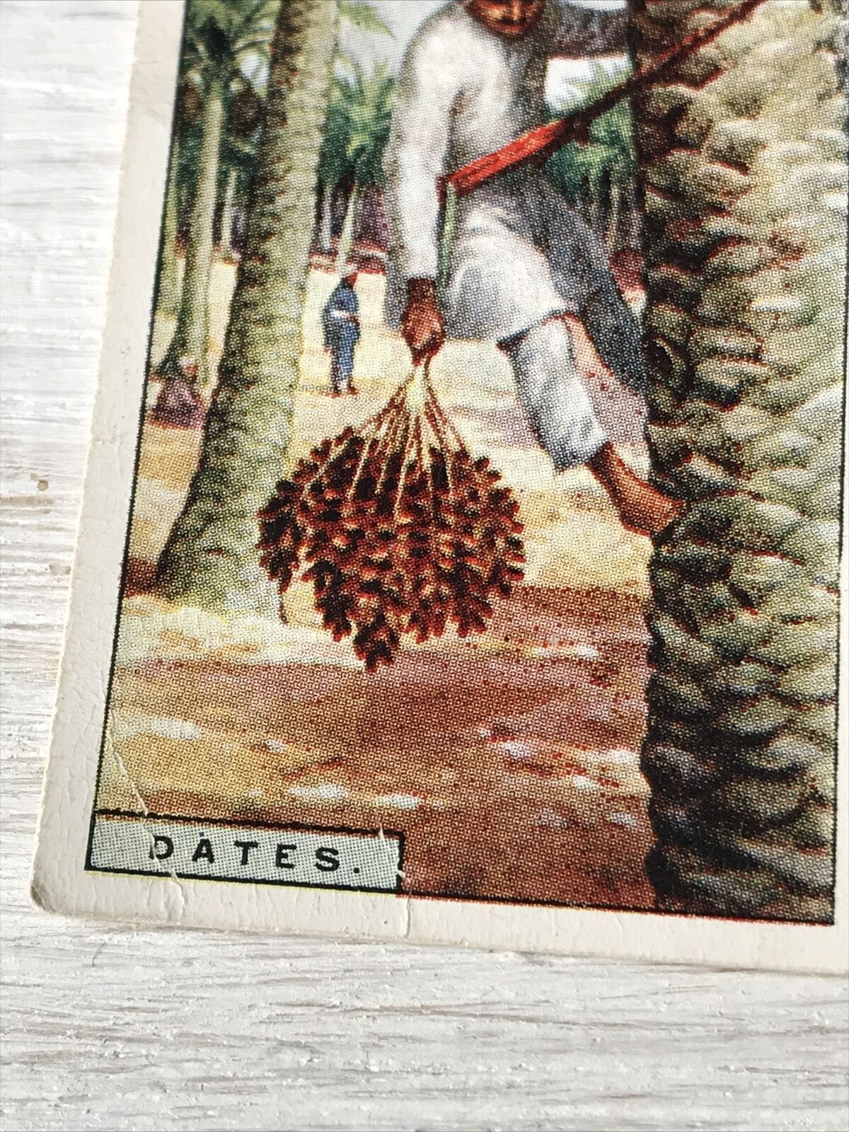 Vintage Players Cigarettes Card Products Of The World Dates 20 Gathering Fruit