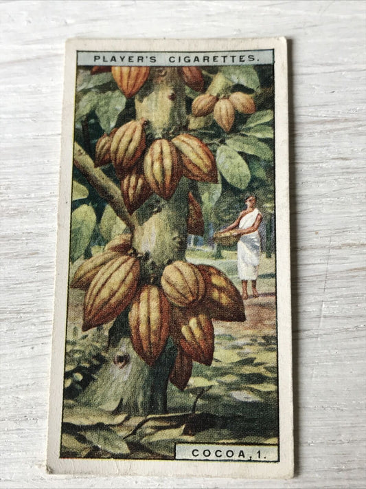 Vintage Players Cigarettes Card Products Of The World Cocoa 1 6 Cacao Tree Trini