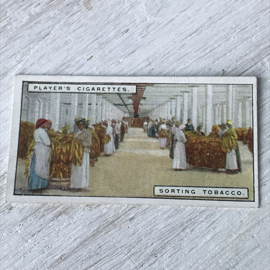 Vintage Players Cigarettes Card From Plantation To Smoker 16 Sorting Tobacco