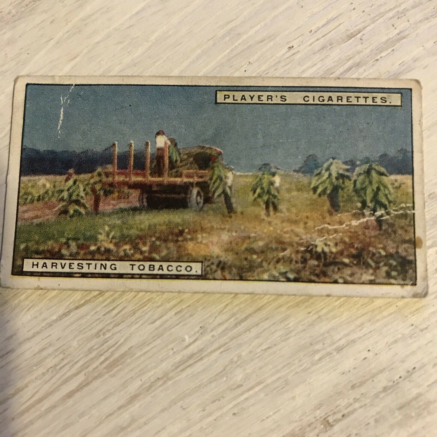 Vintage Players Cigarettes Card From Plantation To Smoker 9 Harvesting Tobacco