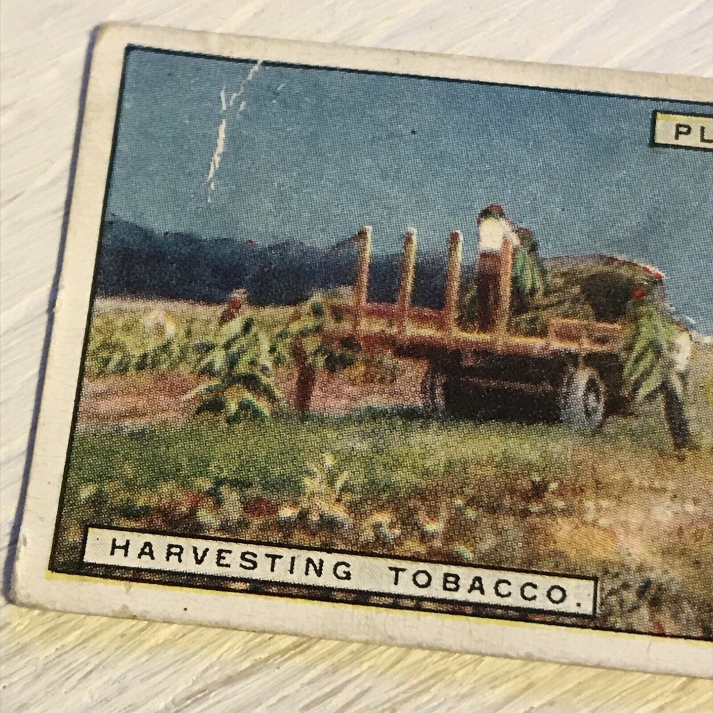 Vintage Players Cigarettes Card From Plantation To Smoker 9 Harvesting Tobacco