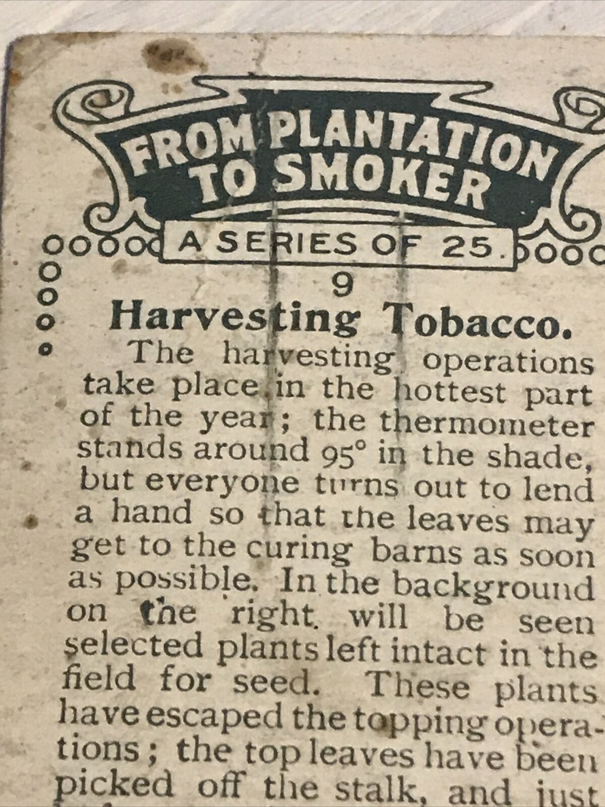 Vintage Players Cigarettes Card From Plantation To Smoker 9 Harvesting Tobacco