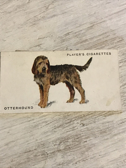 Vintage Players Cigarettes Card Dogs 20 Otterhound