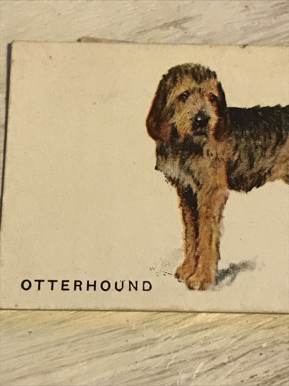 Vintage Players Cigarettes Card Dogs 20 Otterhound