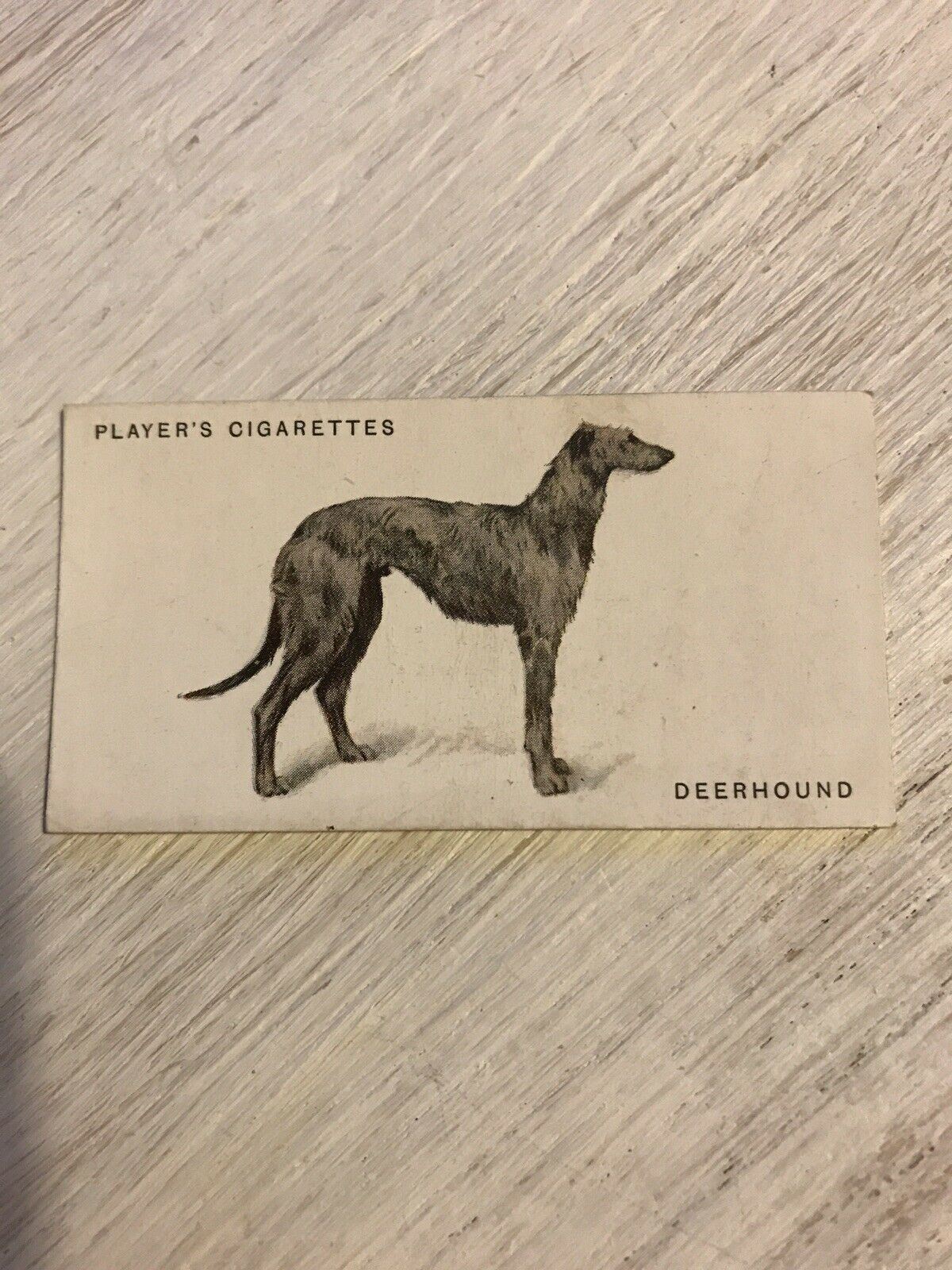 Vintage Players Cigarettes Card Dogs 11 Deerhound