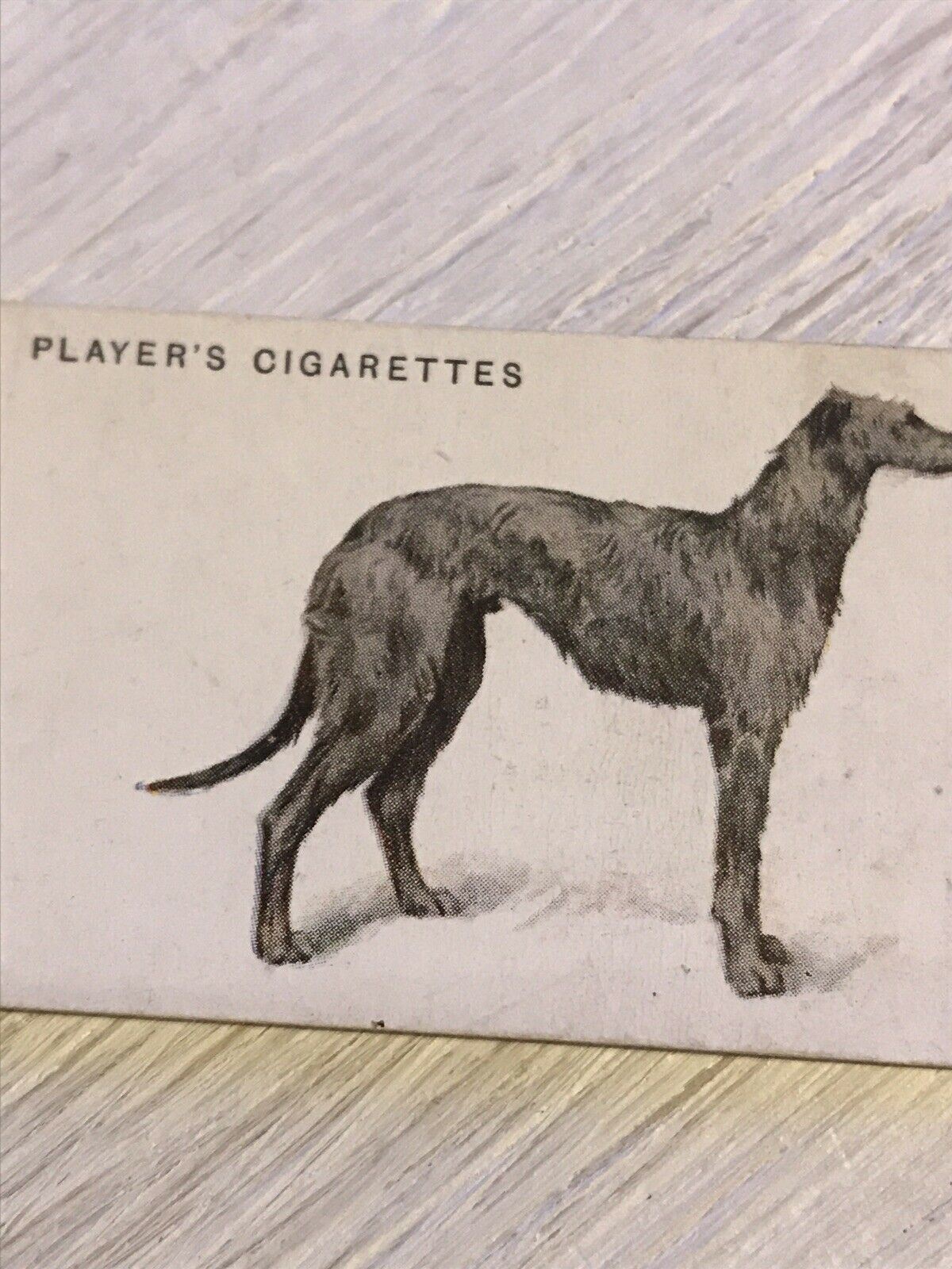 Vintage Players Cigarettes Card Dogs 11 Deerhound