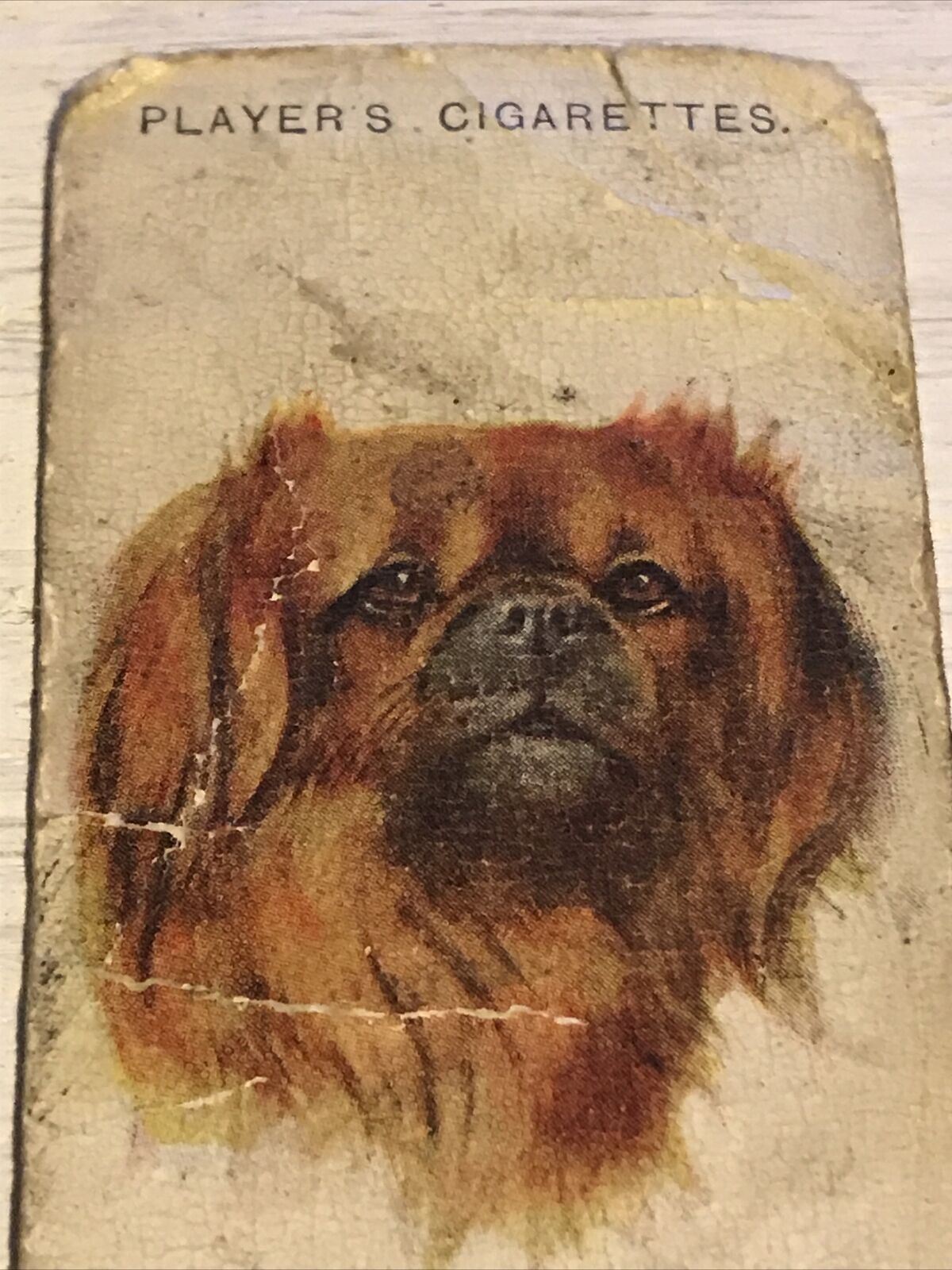 Vintage Players Cigarettes Card Dogs 20 Pekinese Pekingese DAMAGED