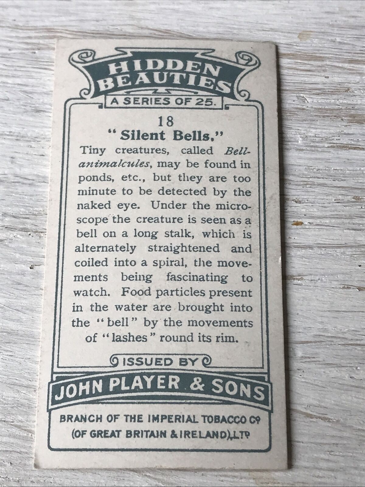 Players Cigarettes Card Hidden Beauties 18 Silent Bells Bell-animalcules