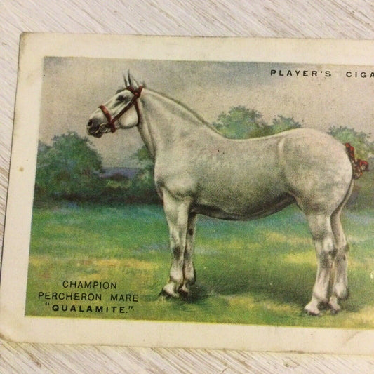 Players Cigarettes Card Large. British Pedigree Stock. 13 Percheron Mare