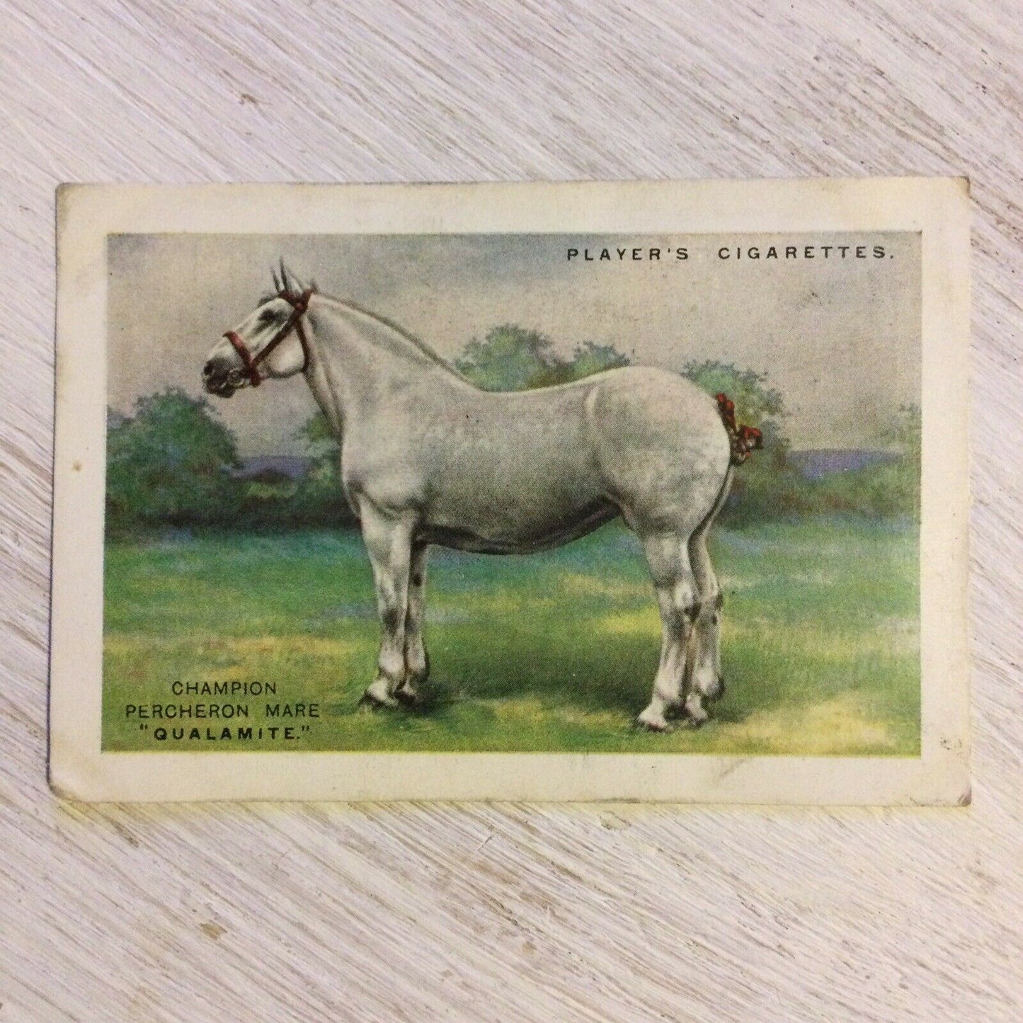 Players Cigarettes Card Large. British Pedigree Stock. 13 Percheron Mare