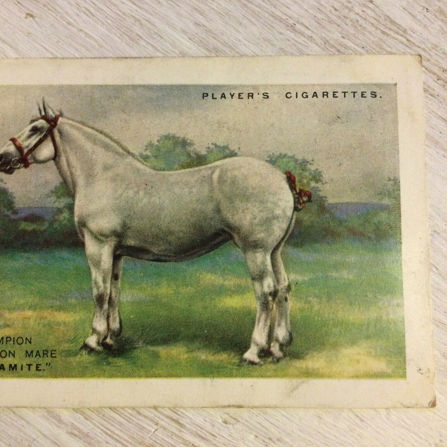 Players Cigarettes Card Large. British Pedigree Stock. 13 Percheron Mare