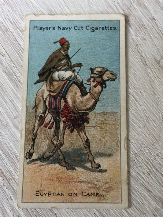 PLAYER'S Cigarette Card Riders Of The World EGYPTIAN ON CAMEL no.42