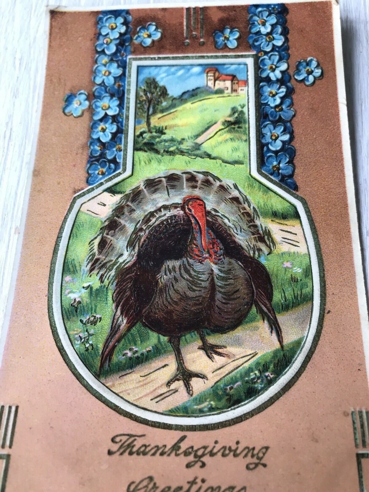 Vintage Thanksgiving Greetings Postcard Turkey Forgetmenots Art Deco Embossed