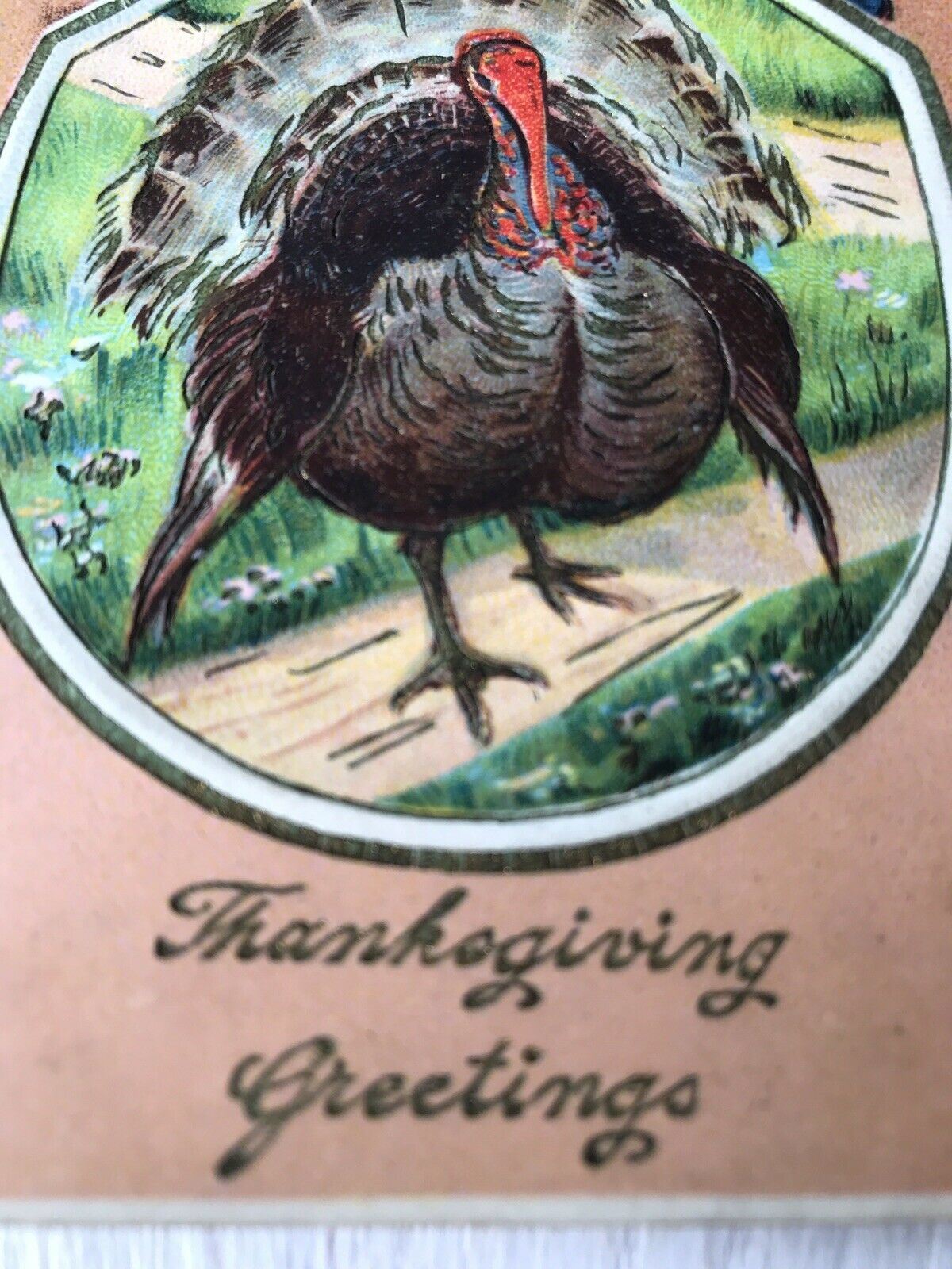 Vintage Thanksgiving Greetings Postcard Turkey Forgetmenots Art Deco Embossed