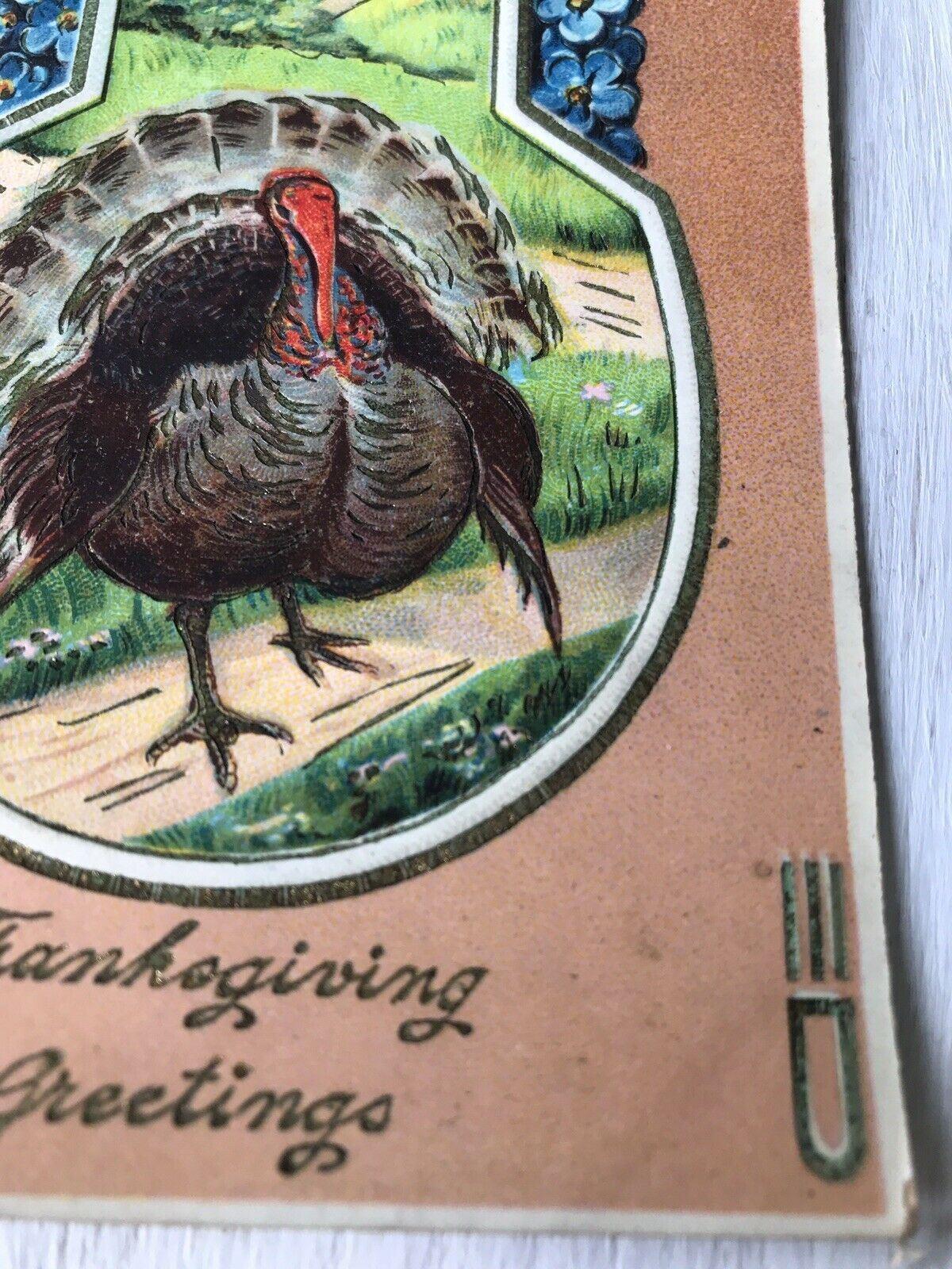 Vintage Thanksgiving Greetings Postcard Turkey Forgetmenots Art Deco Embossed