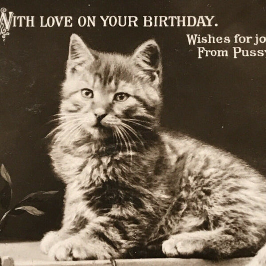 Antique Birthday Greetings Postcard. Pretty Cat / Kitten With Cherry Blossom Cute 1910. Cute kitten photo.