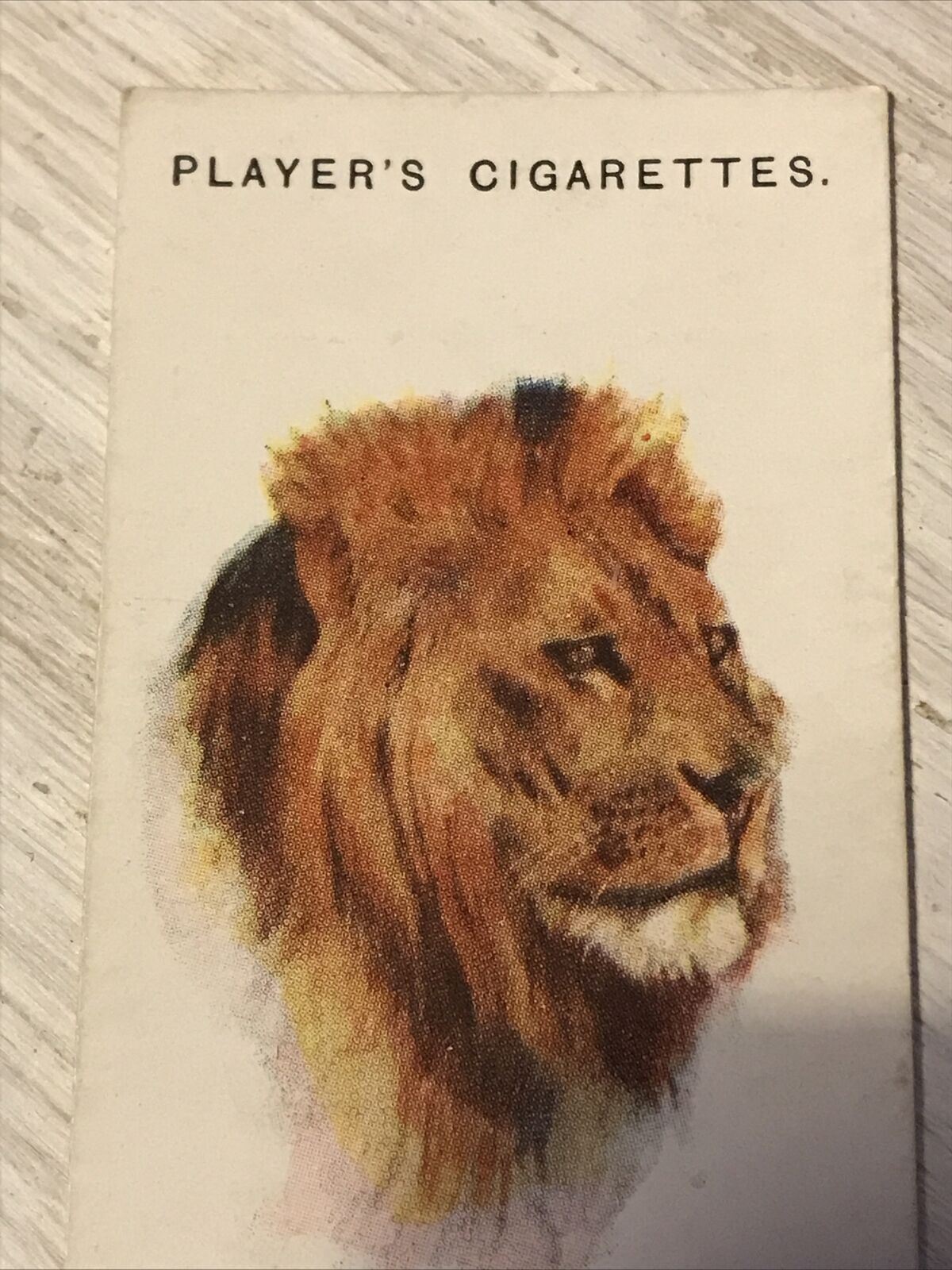 Players Cigarettes Card Wild Animals Heads 35 Lion Arthur Wardle