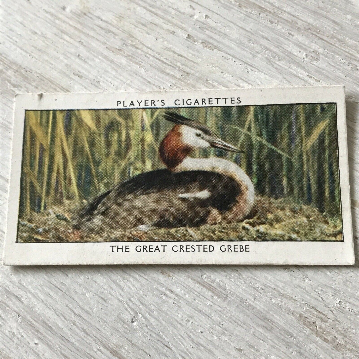 Players Cigarettes Card Wild Birds No.24 Great-crested Grebe Water Bird British