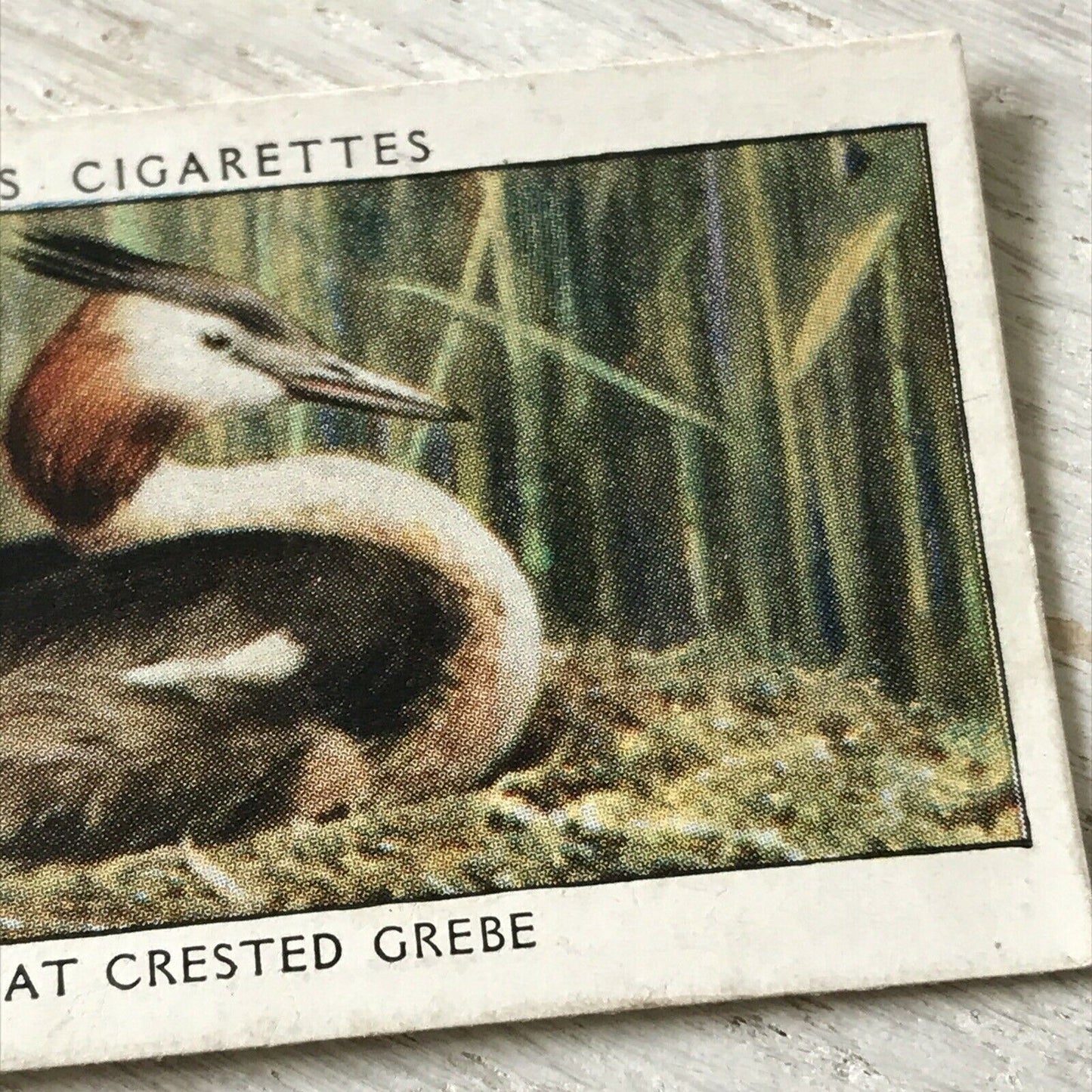 Players Cigarettes Card Wild Birds No.24 Great-crested Grebe Water Bird British