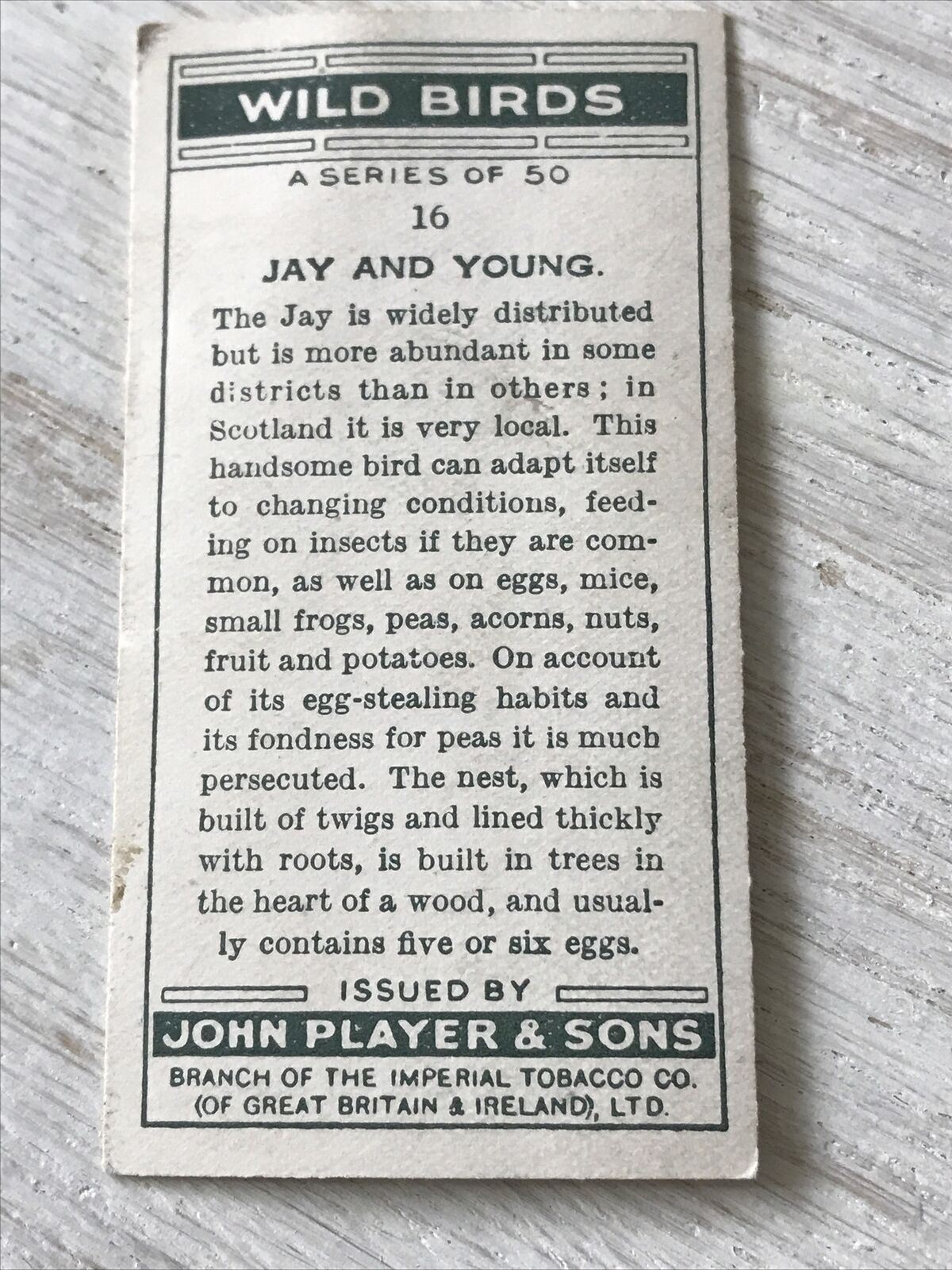 Players Cigarettes Card Wild Birds No.16 Jay & Young.